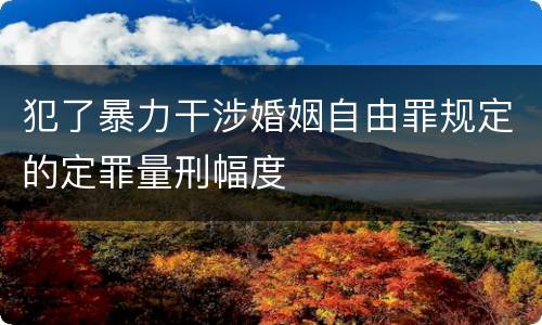 犯了暴力干涉婚姻自由罪规定的定罪量刑幅度