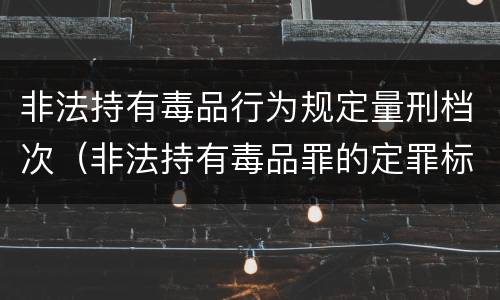 非法持有毒品行为规定量刑档次（非法持有毒品罪的定罪标准）