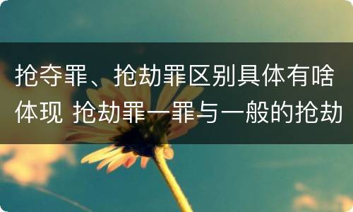 抢夺罪、抢劫罪区别具体有啥体现 抢劫罪一罪与一般的抢劫罪区别