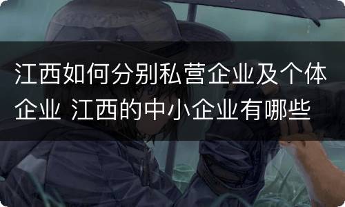 江西如何分别私营企业及个体企业 江西的中小企业有哪些