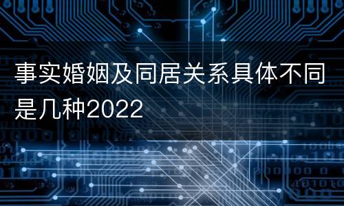 事实婚姻及同居关系具体不同是几种2022