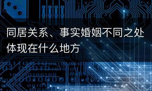 同居关系、事实婚姻不同之处体现在什么地方