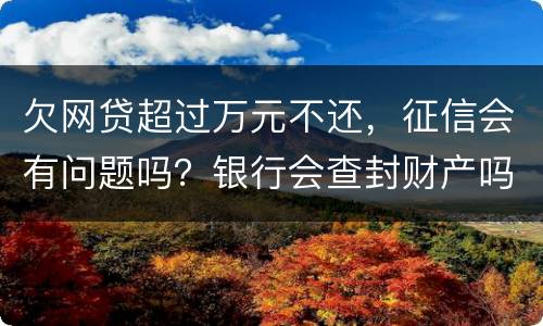 欠网贷超过万元不还，征信会有问题吗？银行会查封财产吗