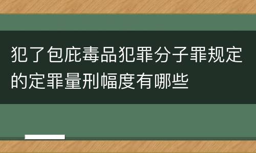 犯了包庇毒品犯罪分子罪规定的定罪量刑幅度有哪些
