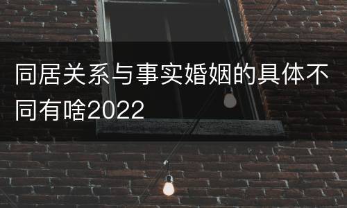 同居关系与事实婚姻的具体不同有啥2022