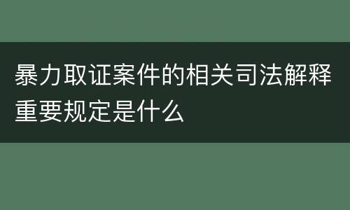 暴力取证案件的相关司法解释重要规定是什么