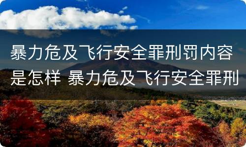 暴力危及飞行安全罪刑罚内容是怎样 暴力危及飞行安全罪刑罚内容是怎样的