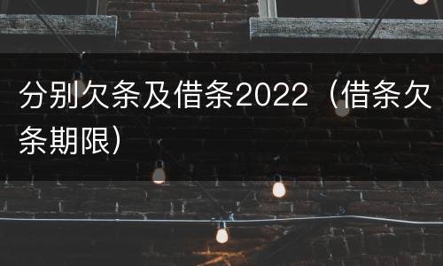 分别欠条及借条2022（借条欠条期限）