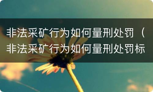 非法采矿行为如何量刑处罚（非法采矿行为如何量刑处罚标准）