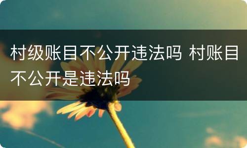 村级账目不公开违法吗 村账目不公开是违法吗