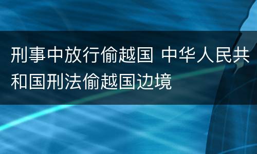 刑事中放行偷越国 中华人民共和国刑法偷越国边境
