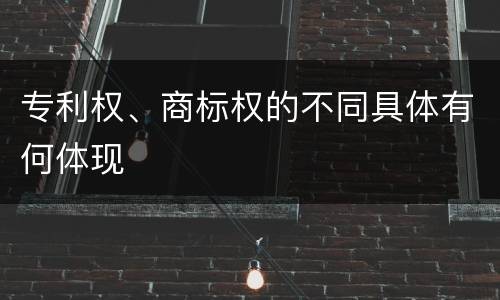 专利权、商标权的不同具体有何体现
