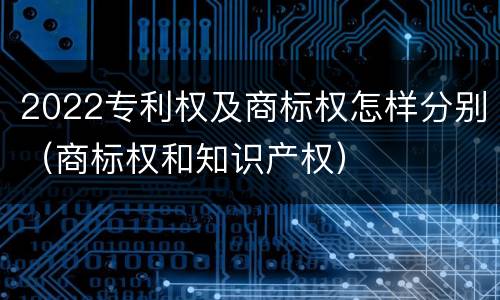 2022专利权及商标权怎样分别（商标权和知识产权）