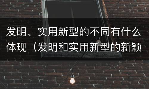 发明、实用新型的不同有什么体现（发明和实用新型的新颖性）