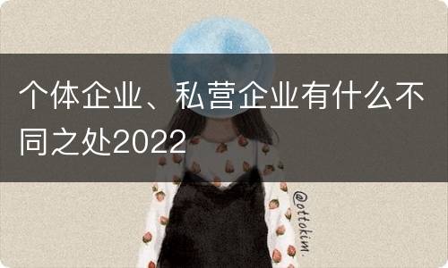个体企业、私营企业有什么不同之处2022