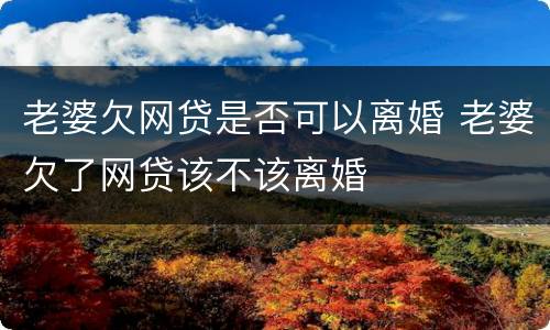 老婆欠网贷是否可以离婚 老婆欠了网贷该不该离婚