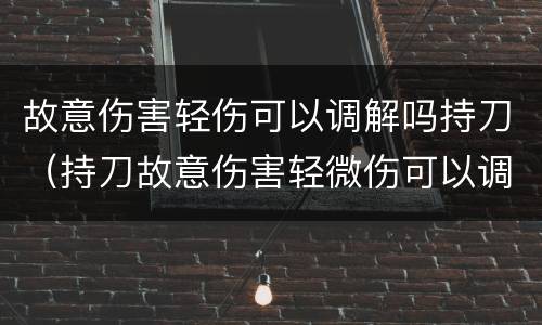 故意伤害轻伤可以调解吗持刀（持刀故意伤害轻微伤可以调解吗）