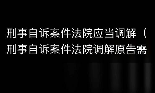 刑事自诉案件法院应当调解（刑事自诉案件法院调解原告需要注意什么）