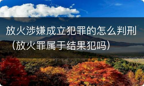放火涉嫌成立犯罪的怎么判刑（放火罪属于结果犯吗）