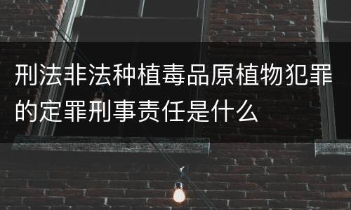 刑法非法种植毒品原植物犯罪的定罪刑事责任是什么