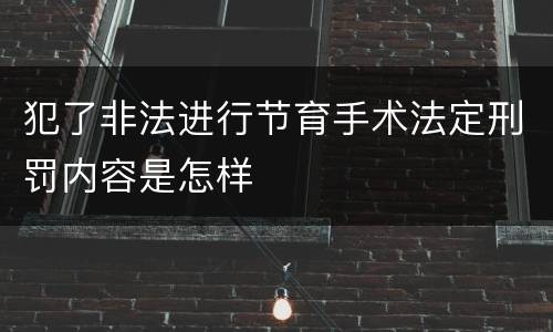 犯了非法进行节育手术法定刑罚内容是怎样