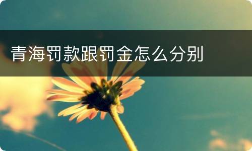 青海罚款跟罚金怎么分别