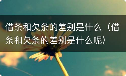 借条和欠条的差别是什么（借条和欠条的差别是什么呢）