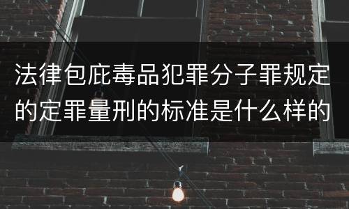 法律包庇毒品犯罪分子罪规定的定罪量刑的标准是什么样的