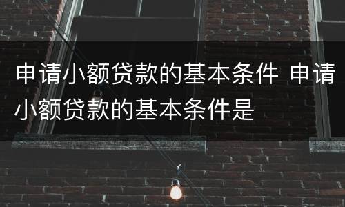 申请小额贷款的基本条件 申请小额贷款的基本条件是