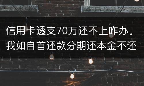 信用卡透支70万还不上咋办。我如自首还款分期还本金不还利息行吗