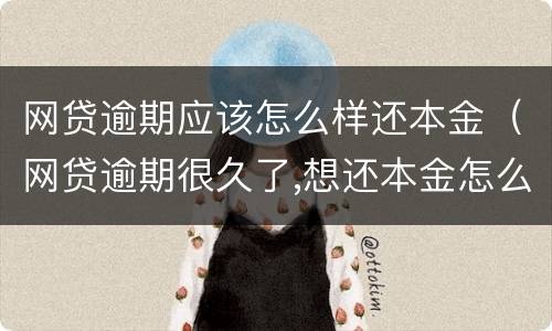 网贷逾期应该怎么样还本金（网贷逾期很久了,想还本金怎么协商）