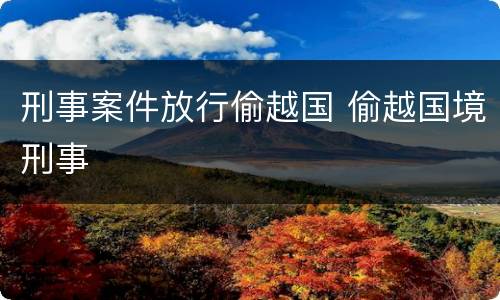 刑事案件放行偷越国 偷越国境刑事