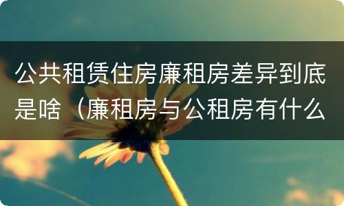 公共租赁住房廉租房差异到底是啥（廉租房与公租房有什么不同）