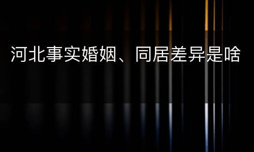 河北事实婚姻、同居差异是啥