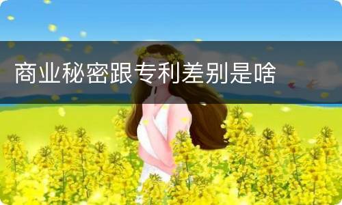 商业秘密跟专利差别是啥