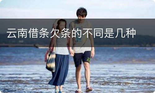 云南借条欠条的不同是几种