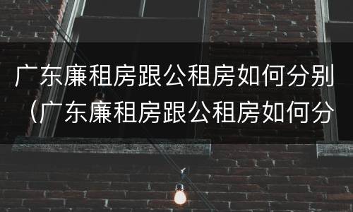 广东廉租房跟公租房如何分别（广东廉租房跟公租房如何分别的）