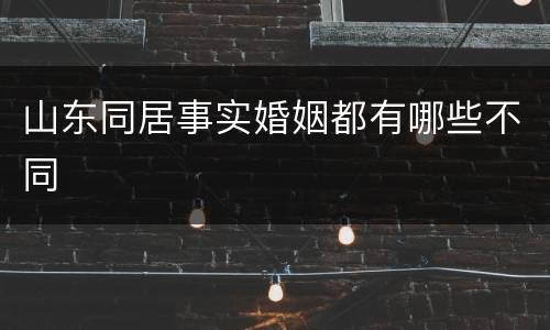 山东同居事实婚姻都有哪些不同