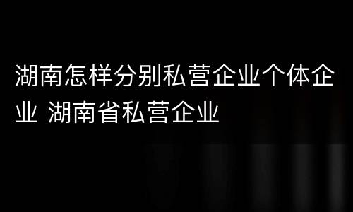 湖南怎样分别私营企业个体企业 湖南省私营企业