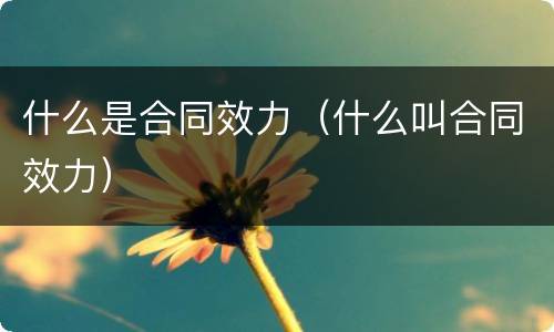 什么是合同效力（什么叫合同效力）