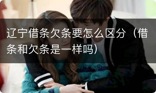 辽宁借条欠条要怎么区分（借条和欠条是一样吗）