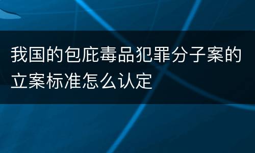 我国的包庇毒品犯罪分子案的立案标准怎么认定