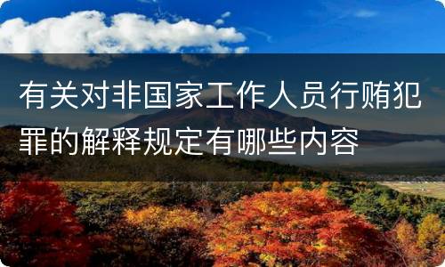 有关对非国家工作人员行贿犯罪的解释规定有哪些内容