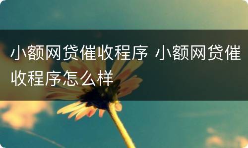 小额网贷催收程序 小额网贷催收程序怎么样