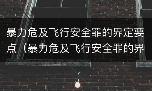 暴力危及飞行安全罪的界定要点（暴力危及飞行安全罪的界定要点有哪些）
