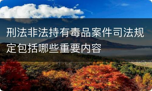 刑法非法持有毒品案件司法规定包括哪些重要内容