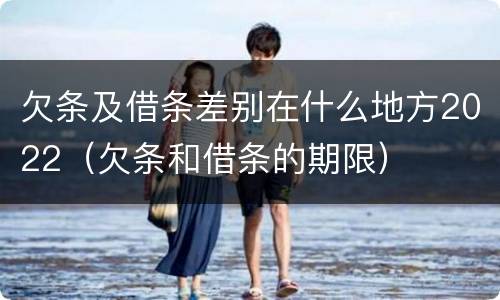 欠条及借条差别在什么地方2022（欠条和借条的期限）