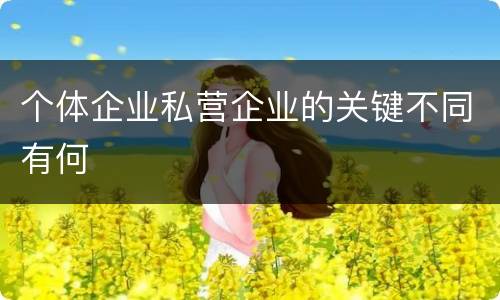 个体企业私营企业的关键不同有何