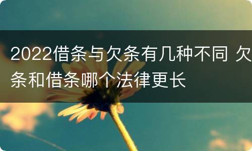 2022借条与欠条有几种不同 欠条和借条哪个法律更长