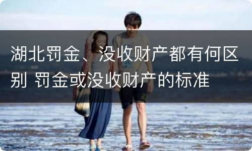 湖北罚金、没收财产都有何区别 罚金或没收财产的标准